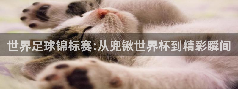 2026世界杯买球：世界足球锦标赛:从兜锹世界杯到精彩瞬间