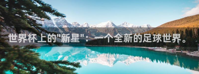 2026世界杯小组赛赛程时间表：世界杯上的\