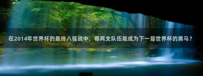 世界杯对阵表：在2014年世界杯的最终八强战中，哪两支队伍能成为下一届世界杯的黑马？