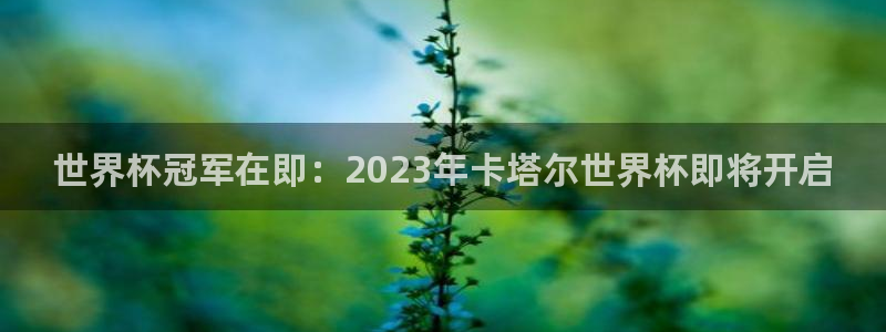 世界杯在线直播：世界杯冠军在即：2023年卡塔尔世界杯即将开启