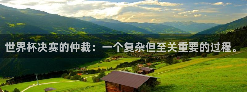 2026世界杯倒计时:世界杯决赛的仲裁:一个复杂但至关重要的过程。