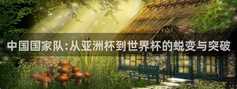 2026世界杯：中国国家队:从亚洲杯到世界杯的蜕变与突破