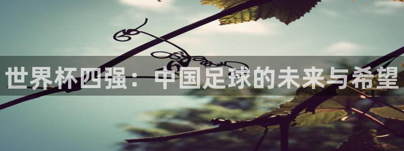 2026世界杯赛程表完整版：世界杯四强：中国足球的未来与希望