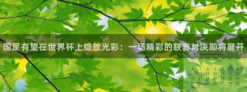 世界杯 2026：国足有望在世界杯上绽放光彩：一场精彩的联赛对决即将展开