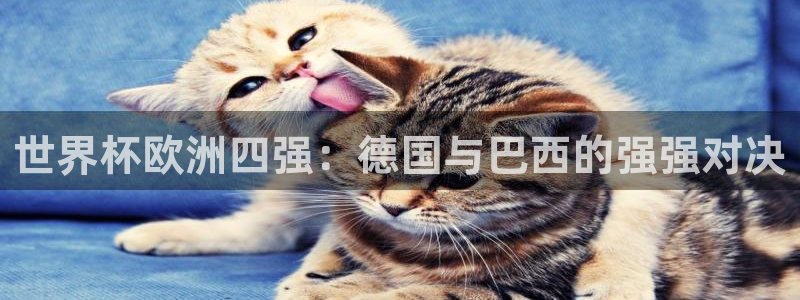 世界杯预选赛：世界杯欧洲四强：德国与巴西的强强对决