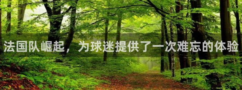 2026足球世界杯：法国队崛起，为球迷提供了一次难忘的体验