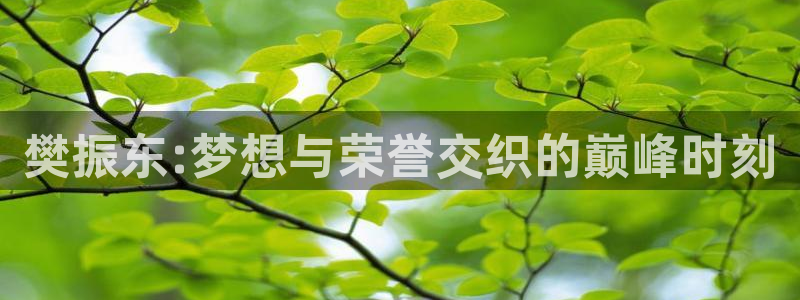 世界杯球队：樊振东:梦想与荣誉交织的巅峰时刻