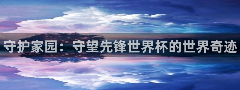2026男足世界杯：守护家园：守望先锋世界杯的世界奇迹