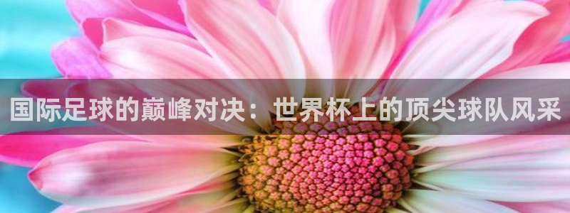 葡萄牙世界杯赛程：国际足球的巅峰对决：世界杯上的顶尖球队风采