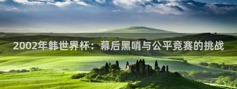 世界杯系列赛：2002年韩世界杯：幕后黑哨与公平竞赛的挑战