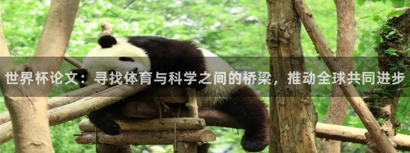 世界杯直播时间：世界杯论文：寻找体育与科学之间的桥梁，推动全球共同进步