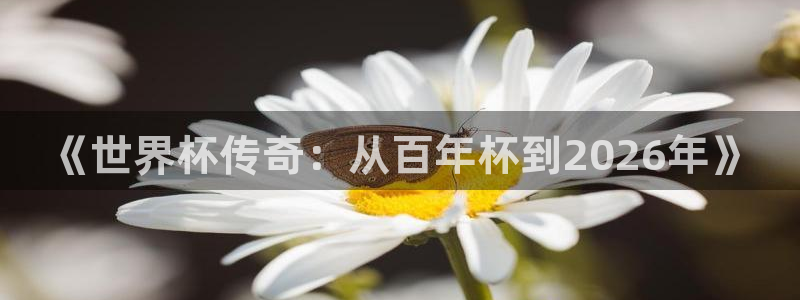 世界杯小组赛赛程：《世界杯传奇：从百年杯到2026年》