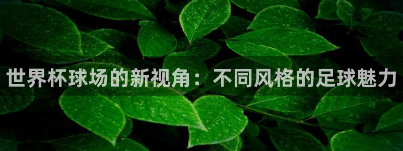 世界杯比赛：世界杯球场的新视角：不同风格的足球魅力