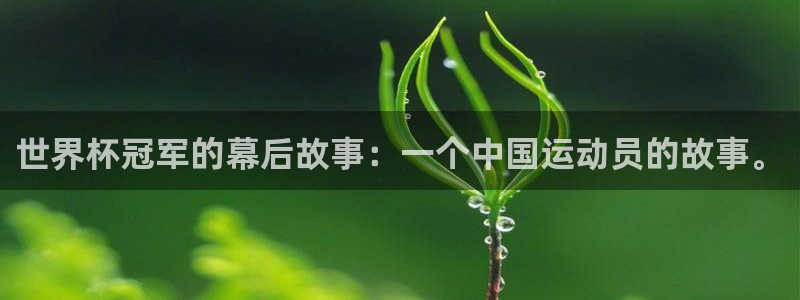 法国杯2026赛程表：世界杯冠军的幕后故事：一个中国运动员的故事。